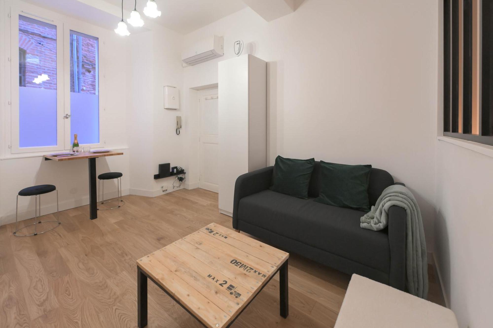 Appartement T1 Bis L'Enfilade Albi Ngoại thất bức ảnh